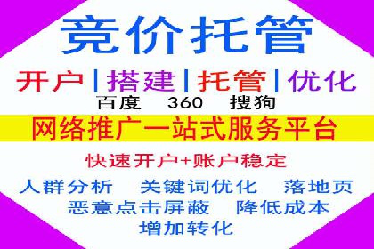 真实案例解析：SEM代运营托管公司的优势与挑战